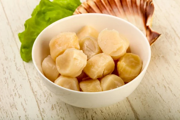 Raw Scallops Heap Bowl Ready Cooking — Stock Photo, Image