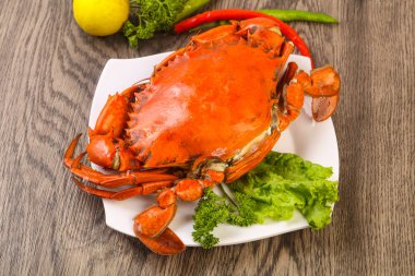 Haşlama yengeç taze ve sıcak - delicous meze ahşap arka plan üzerinde