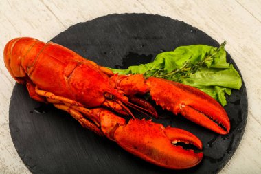 Lezzletli mutfağı - haşlanmış ıstakoz için hazır yemek ahşap arka plan üzerinde