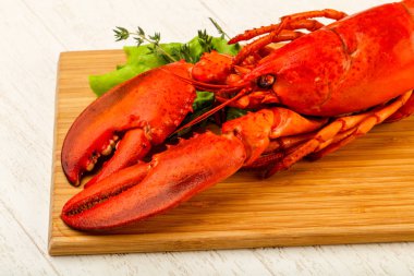 Lezzletli mutfağı - haşlanmış ıstakoz için hazır yemek ahşap arka plan üzerinde