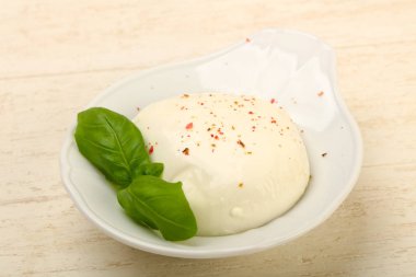 Fesleğen yaprakları ile Mozzarella peyniri
