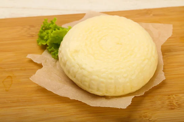 Young Caucasian Cheese Suluguni — Stock Photo, Image