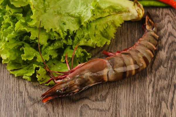 Langostino Tigre Grande Crudo Listo Para Cocinar —  Fotos de Stock