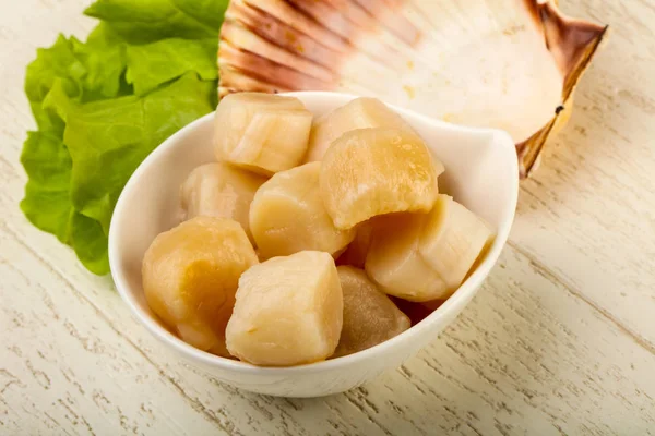 Raw Scallops Heap Bowl Ready Cooking — Stock Photo, Image