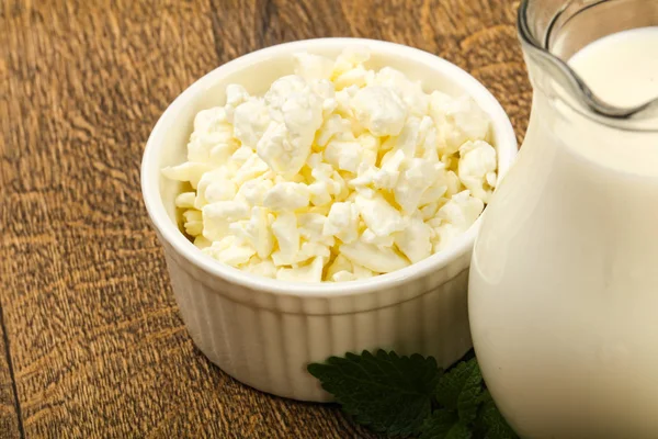 Queso Cabaña Bowl Con Leche — Foto de Stock