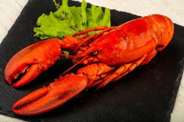 Lezzetli yemek - Haşlanmış ıstakoz yenmeye hazır