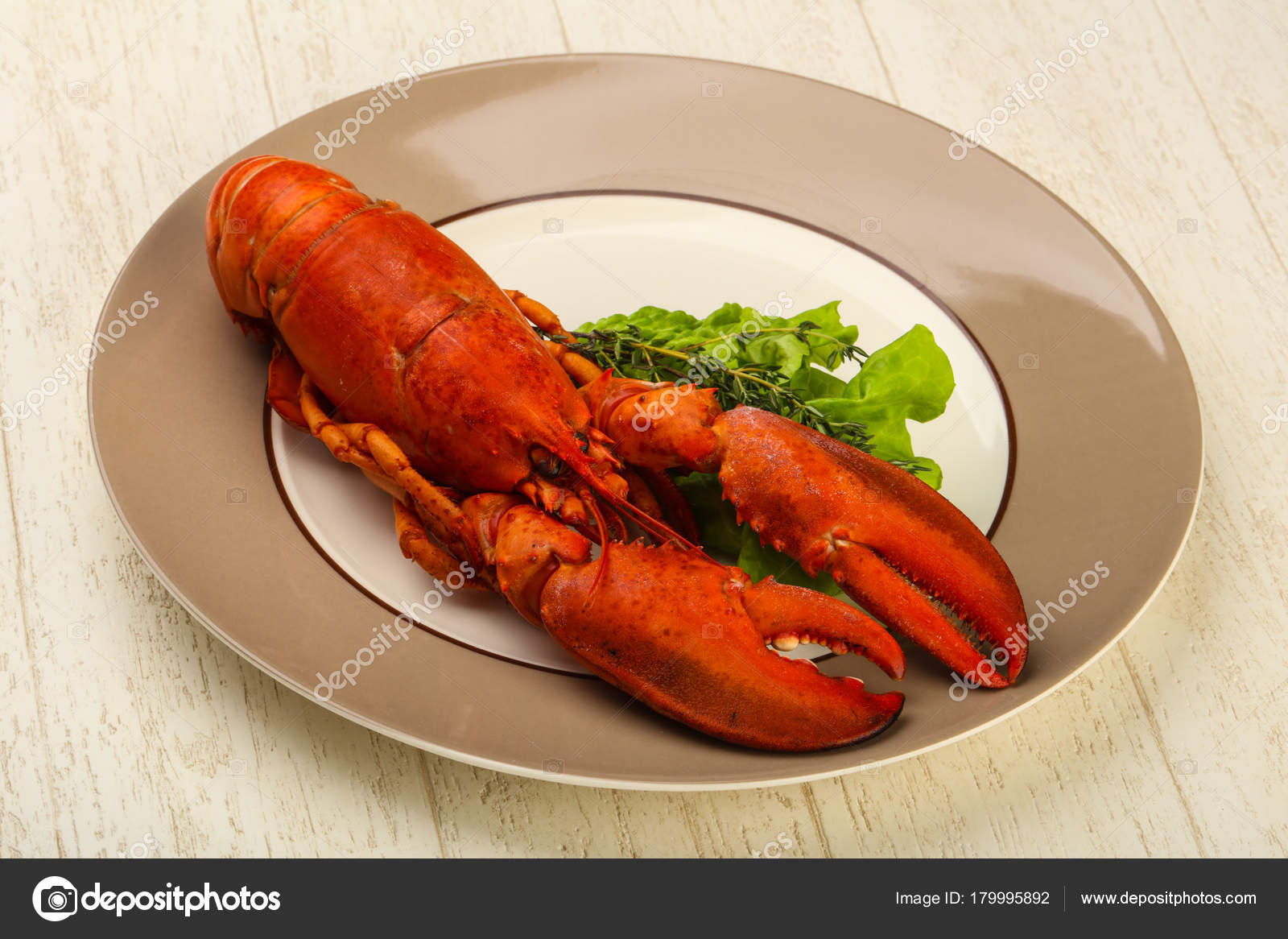 Cuisine Délicate Homard Bouilli Prêt Manger image libre de droit par