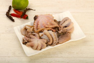 ham ahtapot yemek için hazır