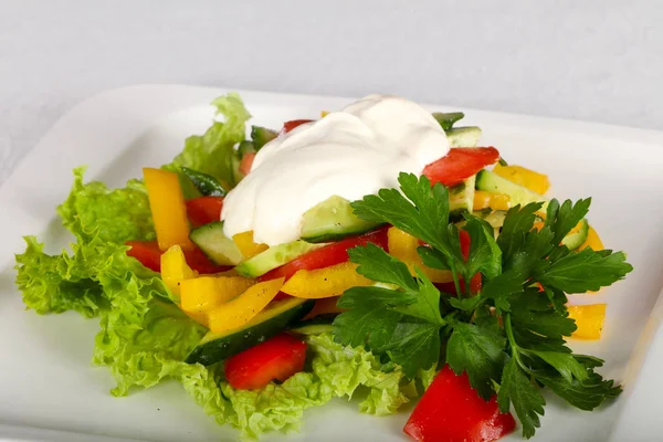 Salada Vegetal Tomate Pepino Pimentão Molho — Fotografia de Stock