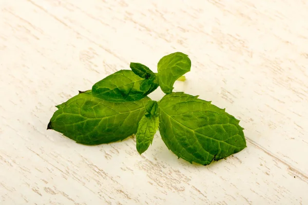 Fresh Green Mint Leaves Wooden Background — Stock Photo, Image