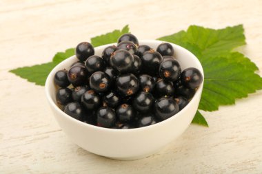 Olgun siyah kuş üzümü ile yaprak kase