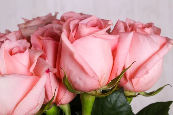 孤立在白色背景上的粉红玫瑰花束 — 图库照片