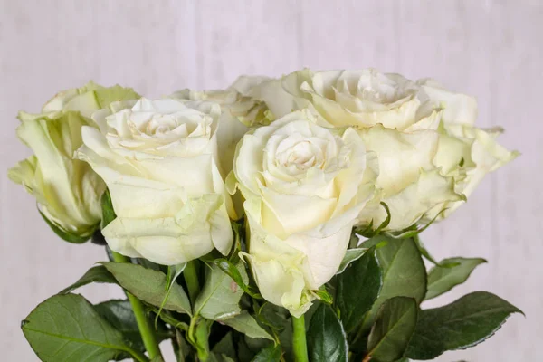 Bouquet Rose Bianche Isolato — Foto Stock