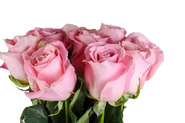 Rose Rosa Bouquet Isolato Sfondo Bianco — Foto Stock