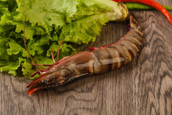 Camarão Tigre Grande Cru Pronto Para Cozinhar — Fotografia de Stock