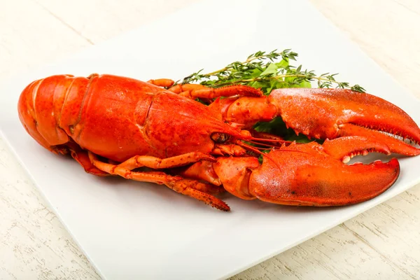 味道鲜美的烹调 煮熟的龙虾 可供食用 — 图库照片
