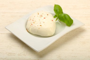 Fesleğen yaprakları ile Mozzarella peyniri