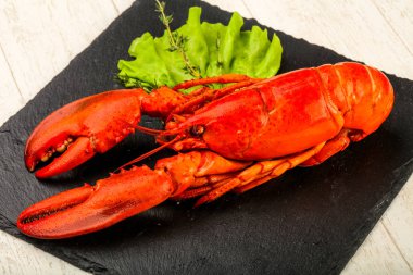 Lezzetli yemek - Haşlanmış ıstakoz yenmeye hazır