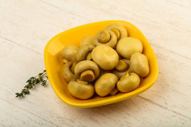 Marine petrol kase - yemek için hazır