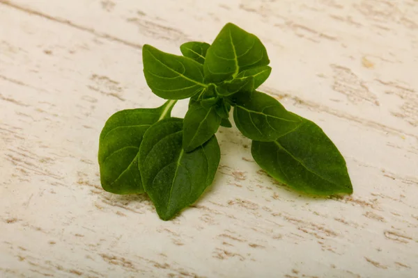 Hijau Segar Basil Daun Atas Kayu Latar Belakang — Stok Foto