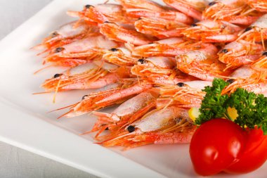 Haşlanmış karides meze beyaz tabak içinde