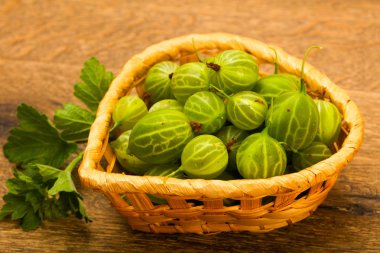 Bektaşi yaprak kase