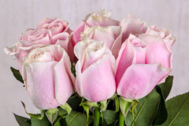 Beyaz arka plan üzerinde izole pembe gül buketi