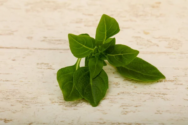 Green Fresh Basil Leaves Wooden Background — Stock Photo, Image