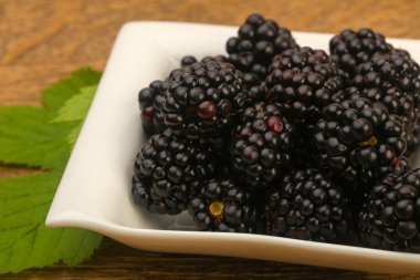 Böğürtlen yaprağı ahşap arka plan üzerinde