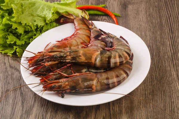 Langostino Tigre Grande Crudo Listo Para Cocinar —  Fotos de Stock