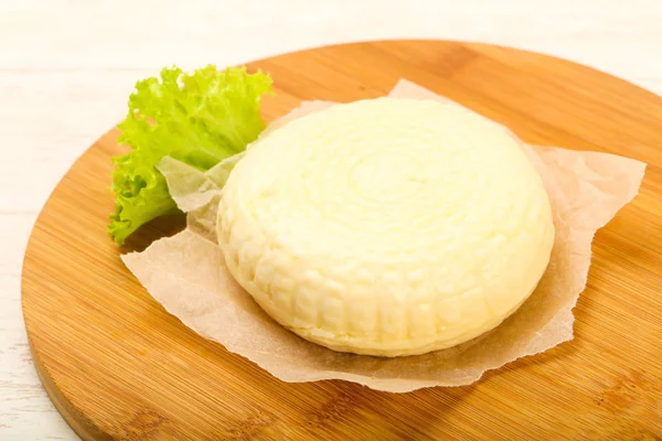 年轻的白种人奶酪 Suluguni — 图库照片