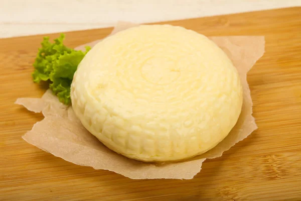 Young Caucasian Cheese Suluguni — Stock Photo, Image