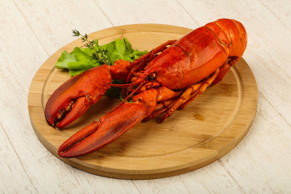 Delicous cuisine - Boiled Lobster ready for eat