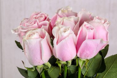 Beyaz arka plan üzerinde izole pembe gül buketi