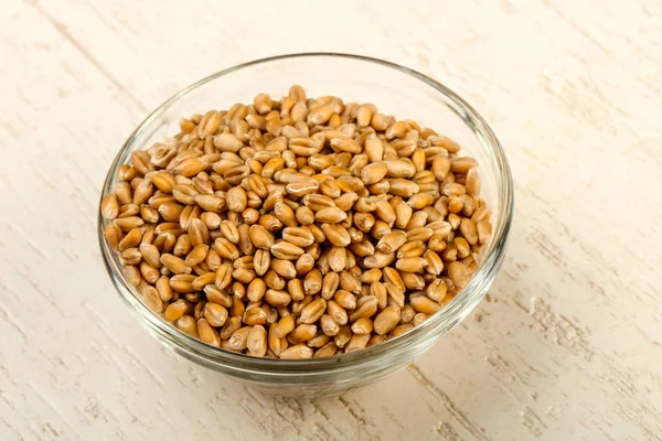 Wheat grains in the bowl over wooden background