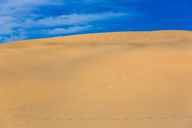 Maspalomas Duna - Kanarya adası Büyük Kanarya Çölü
