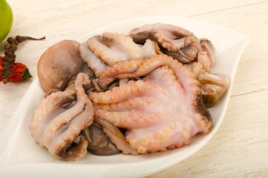 ham ahtapot yemek için hazır