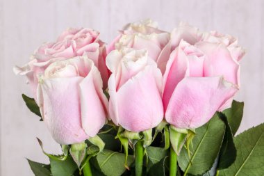 Beyaz arka plan üzerinde izole pembe gül buketi