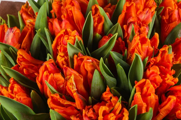 Bouquet Tulipani Arancioni Giovani Fiori Primavera — Foto Stock