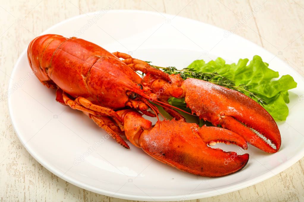 Delicous cuisine - Boiled Lobster ready for eat