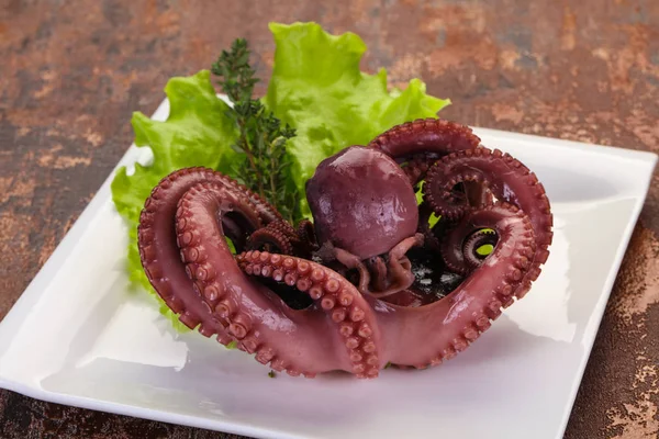 Vařená chobotnice s bylinkami — Stock fotografie