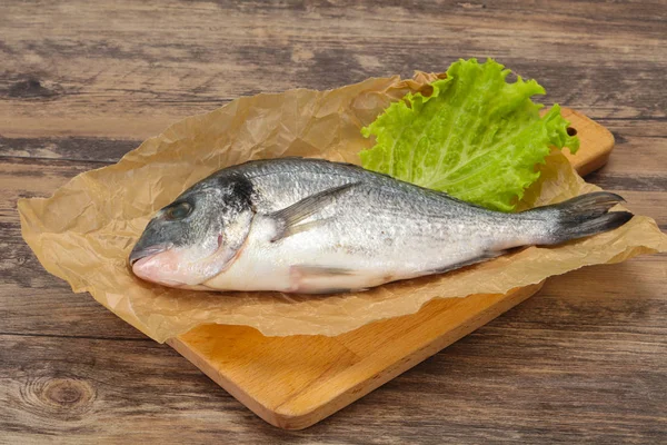 Peixe Dorada cru para cozinhar — Fotografia de Stock