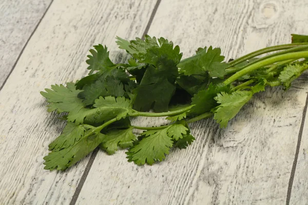 Foglie di coriandolo verde mature fresche — Foto Stock