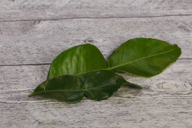 Kafir kireç yaprakları - Asya mutfağı için ek