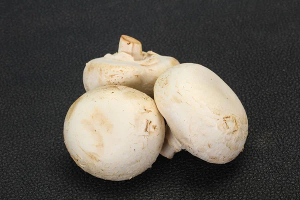 Roher Champignon-Häufchen zum Kochen — Stockfoto