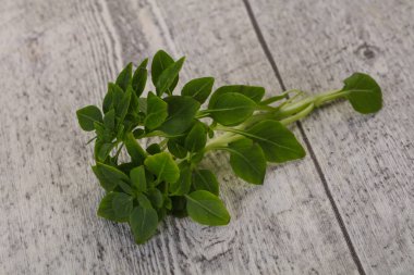 Yeşil fesleğen yaprağı