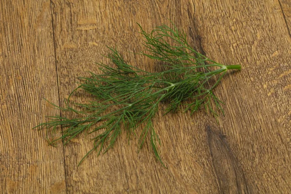 Frutto fresco verde aneto erba — Foto Stock