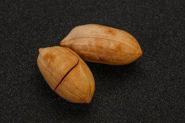 Ripe tasty Two pecan nuts
