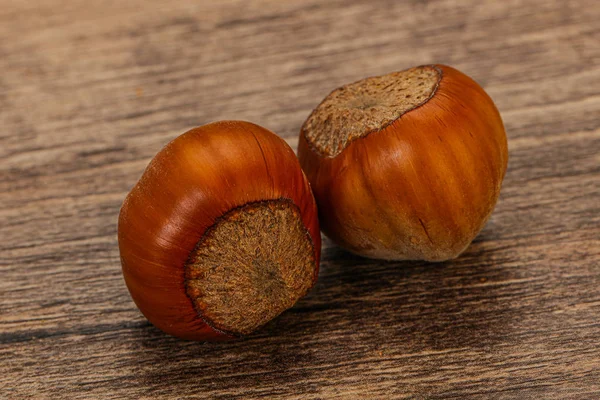 Twee rijpe smakelijke Hele hazelnoot — Stockfoto