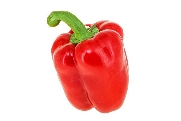 Red Bell Pepper - érett és friss — Stock Fotó